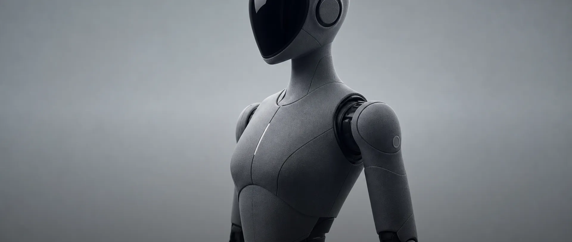 Humanoid Robots