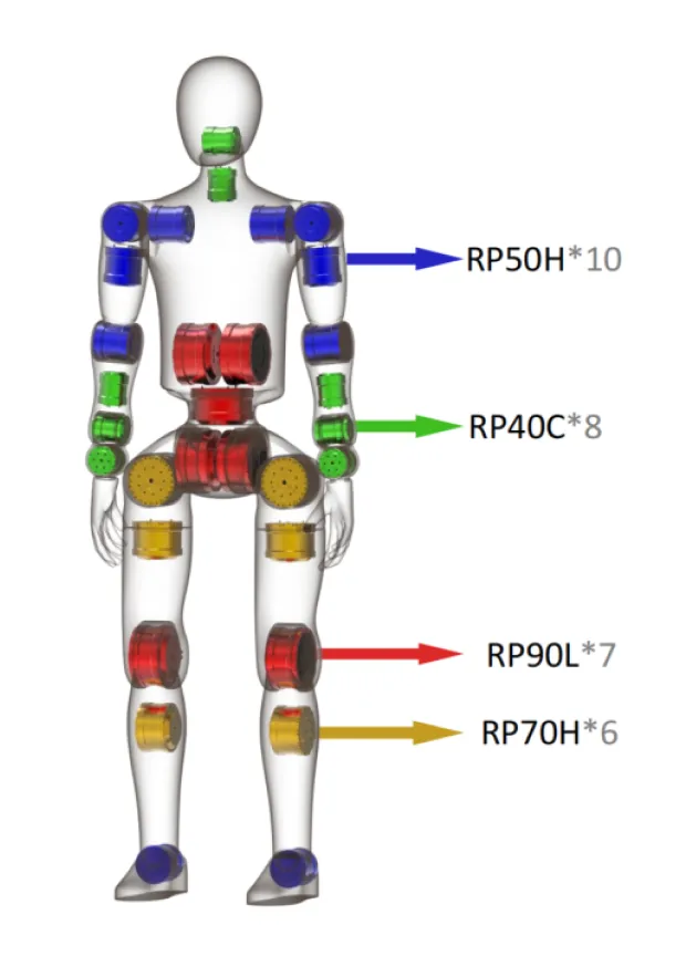 8m biped humanoid robot scheme using RP40C and RP50C planetary joint actuators
Joint layout of the