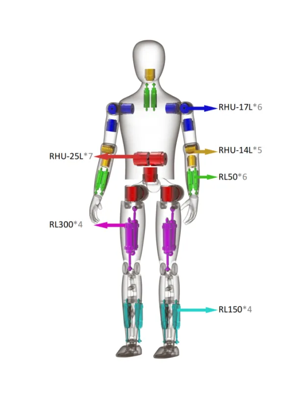 7m biped humanoid robot scheme with RP50L, RP90H, RP70H, RP50H and RP90L joint actuators
Joint layout of the