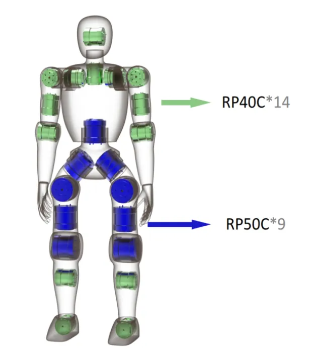 Joint layout of the