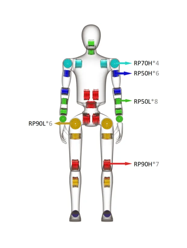 3m biped humanoid robot scheme with RP50H, RP40C, RP90L and RP70H joint actuators
Joint layout of the